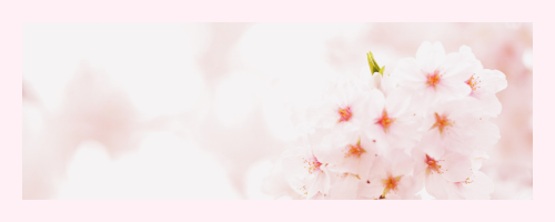 あなたの新しい一歩に応援のエールを送ります。 ファイト！